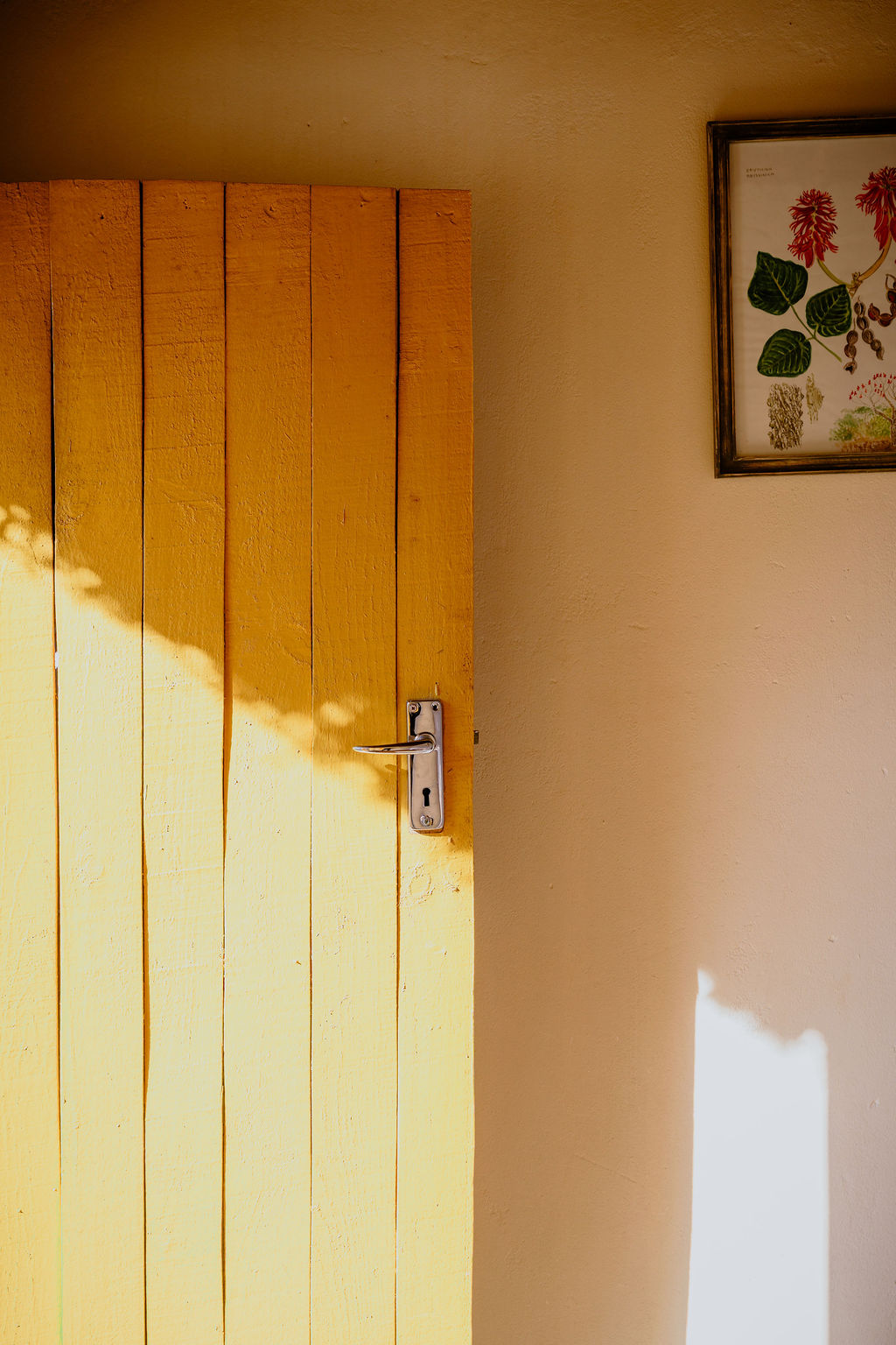 Natural Surroundings